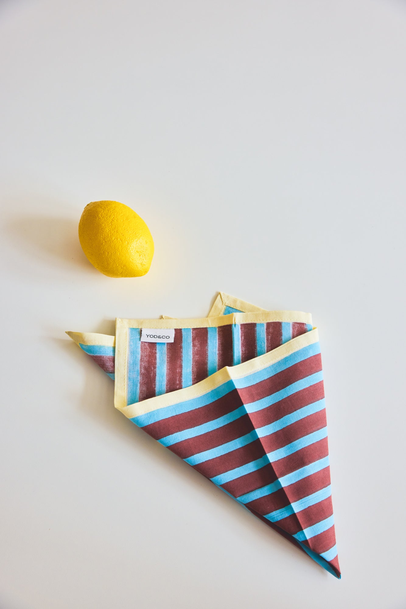 Block Stripe Napkins - Cyan / Russet