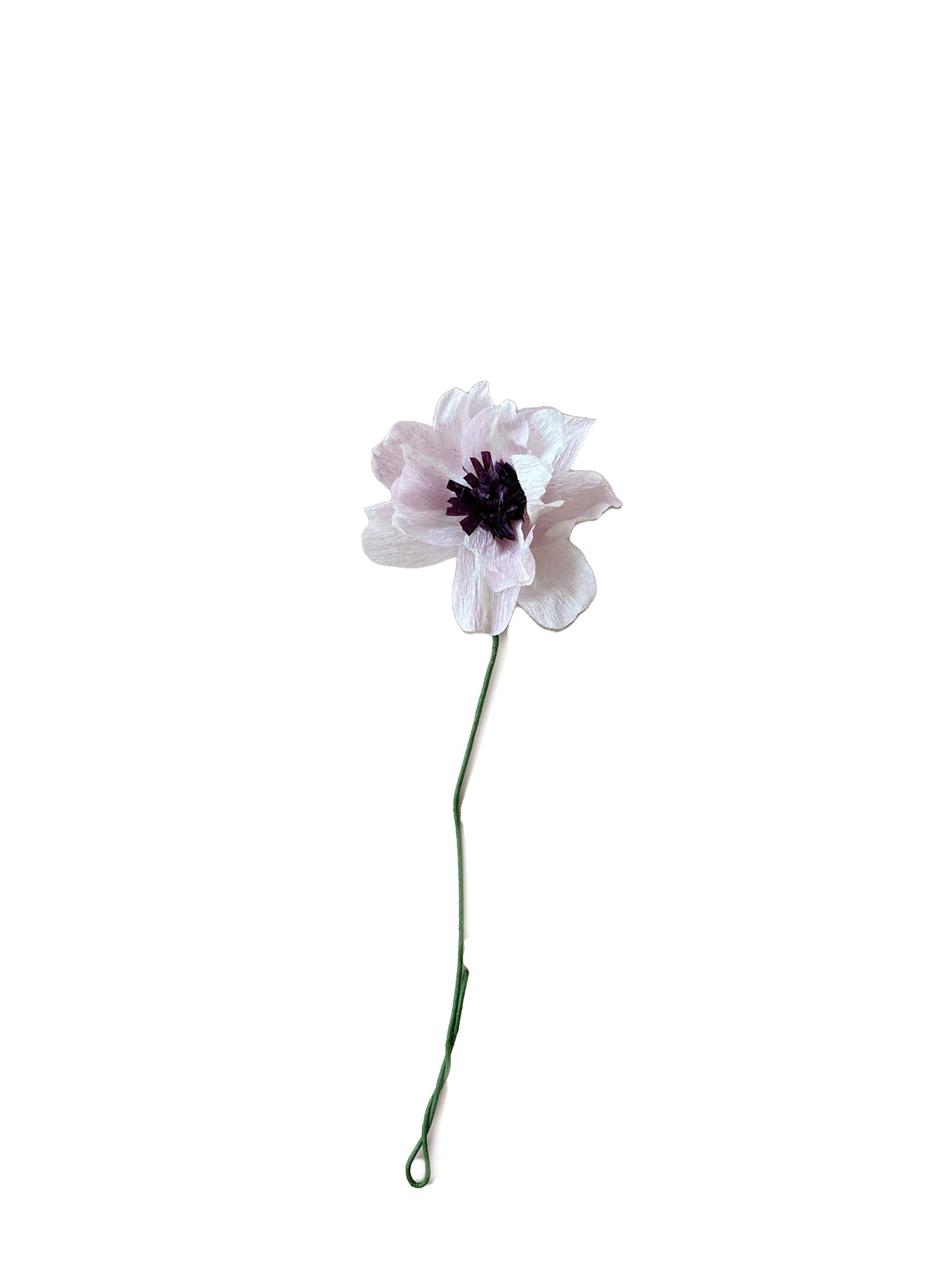 Paper flower purple daisy by studio about