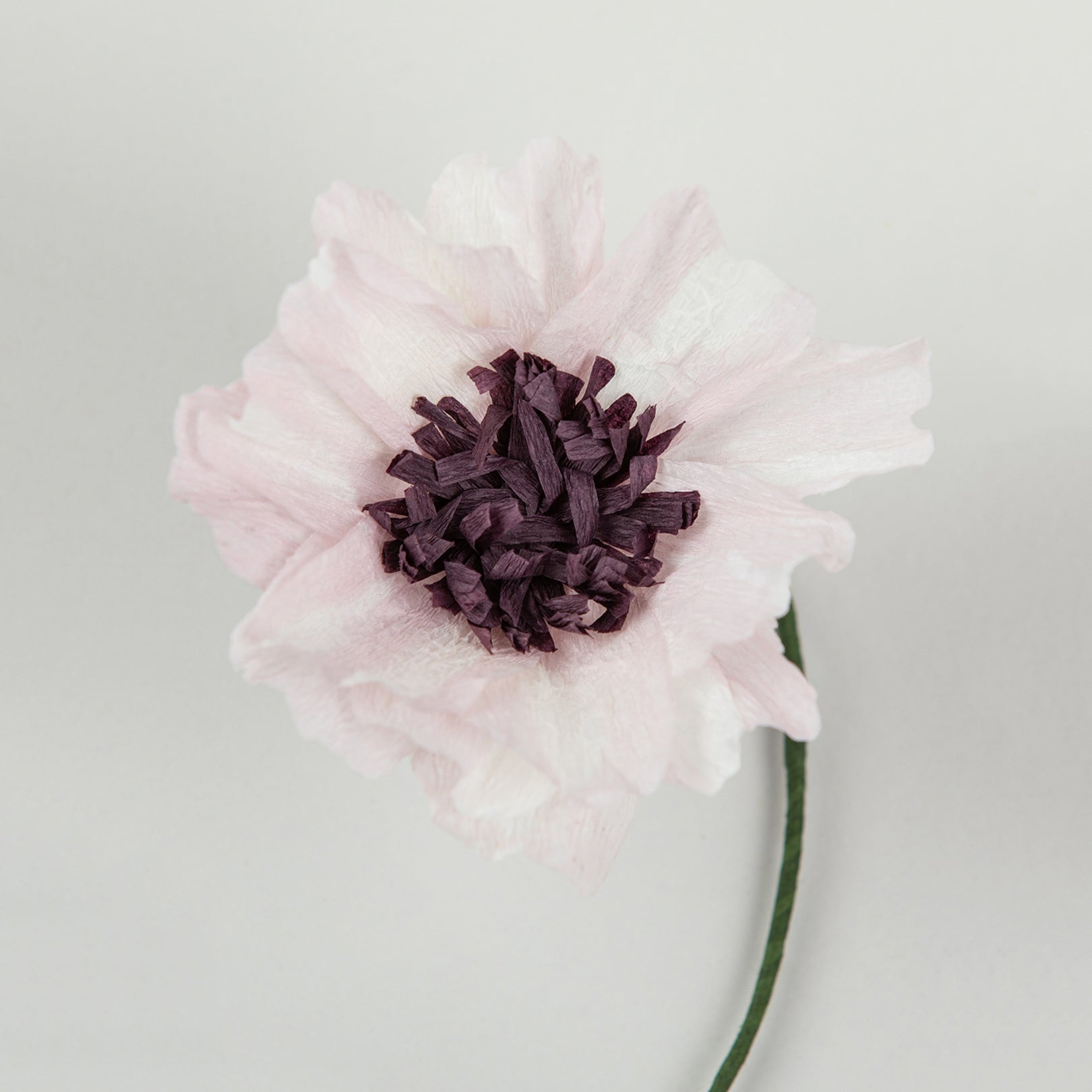 Paper flower purple daisy by studio about