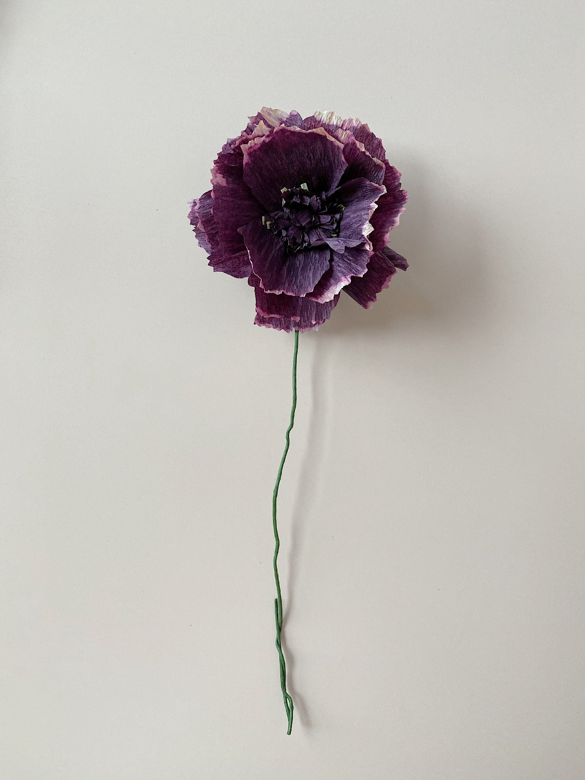 Paper Flower - Aubergine Peony