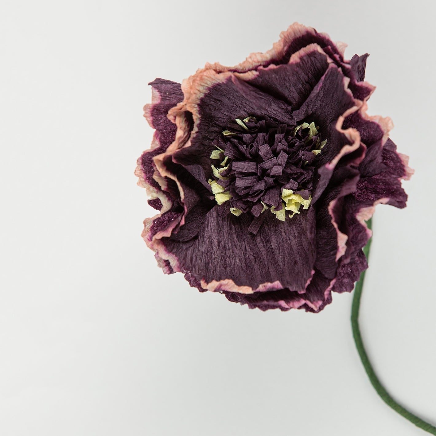 Paper Flower - Aubergine Peony