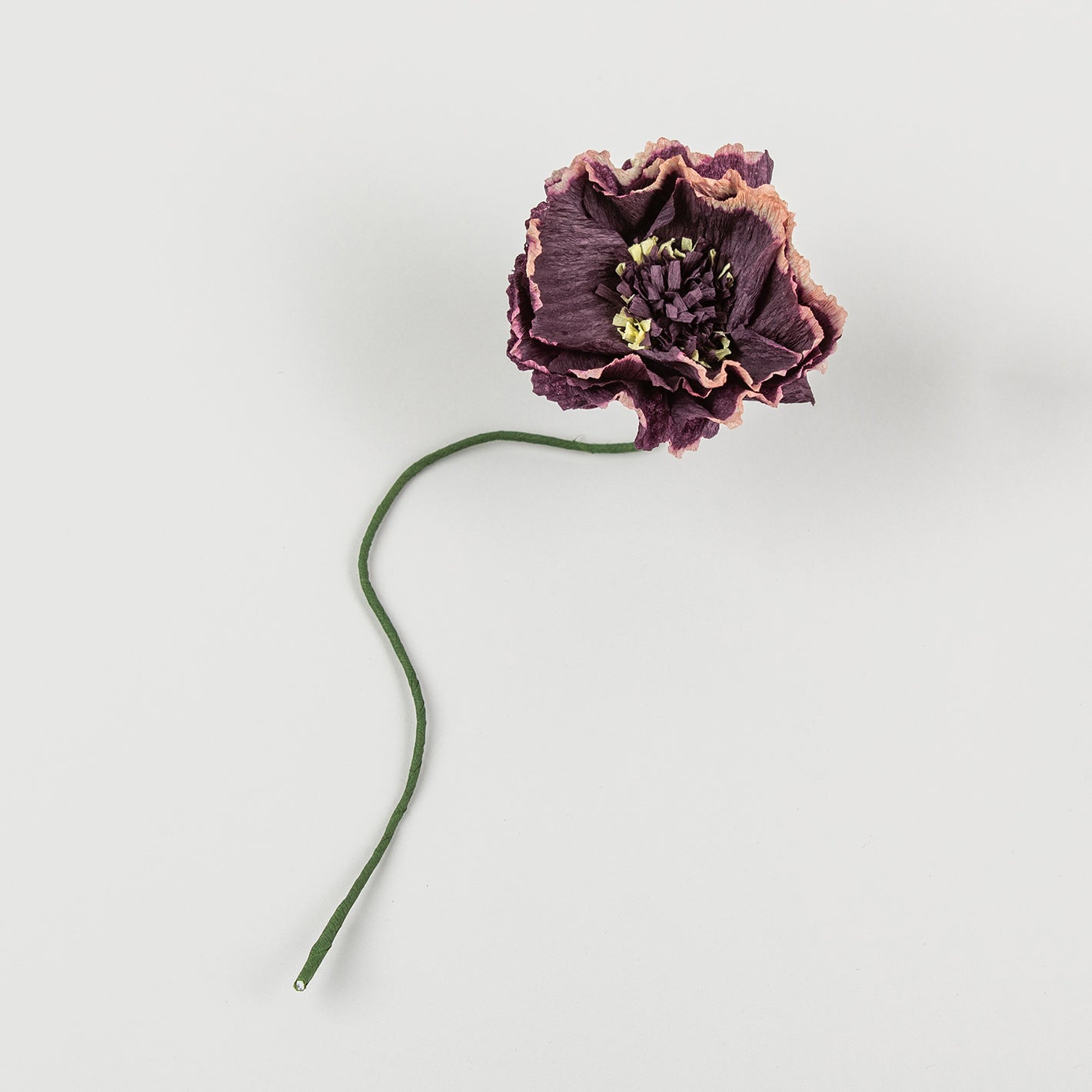 Paper Flower - Aubergine Peony